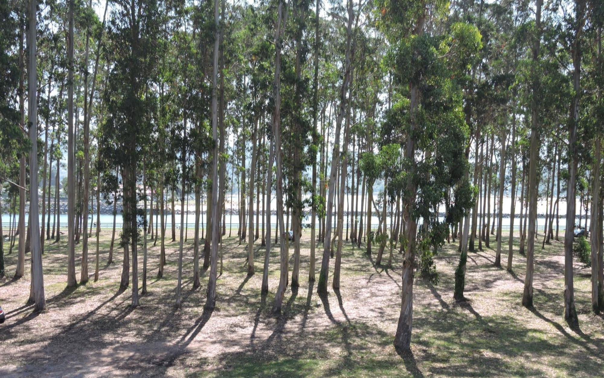 Apartamento Pie De Playa, El Puntal-Villaviciosa Villaviciosa  Exteriér fotografie